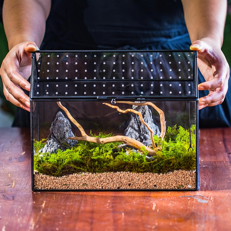 Terrário de Vidro em Forma de Casa de Cobre com Tampa de Acrílico