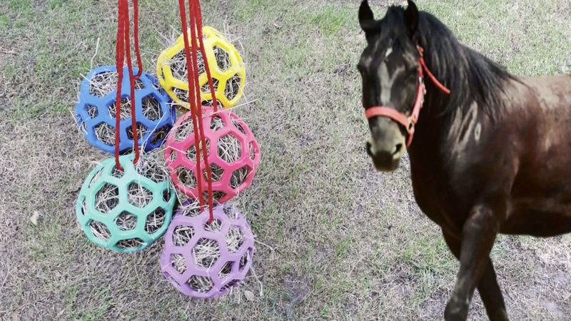 Bolas de Alimentação para Cavalos – Presentes e Brinquedos de Natal