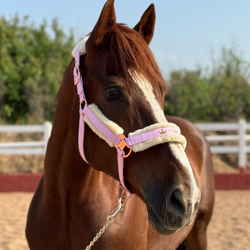 Halter de Cavalo de Lã com Faixa de Pele Sintética Removível