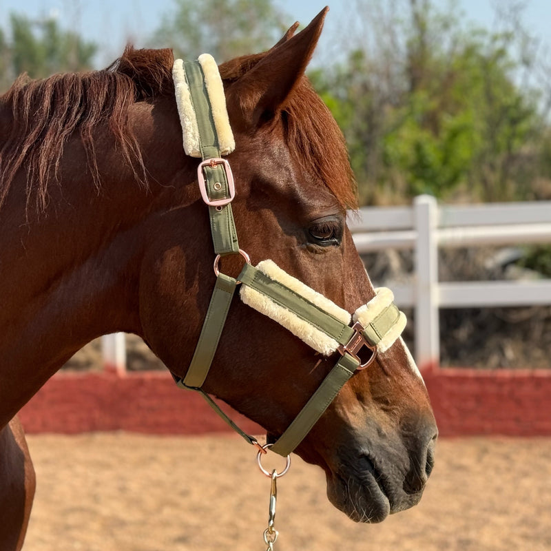 Halter de Cavalo de Lã com Faixa de Pele Sintética Removível