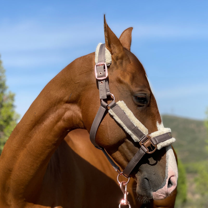 Halter de Cavalo de Lã com Faixa de Pele Sintética Removível