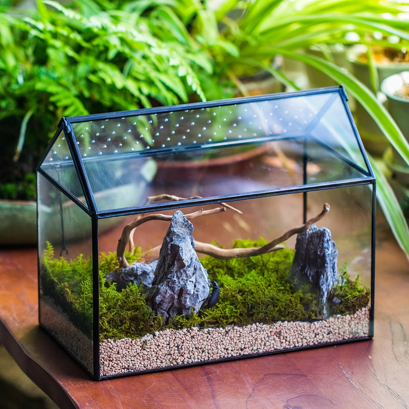 Terrário de Vidro em Forma de Casa de Cobre com Tampa de Acrílico