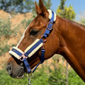 Halter de Cavalo de Lã com Faixa de Pele Sintética Removível