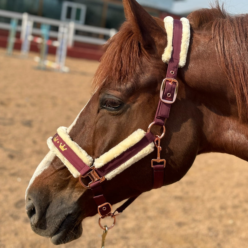 Halter de Cavalo de Lã com Faixa de Pele Sintética Removível