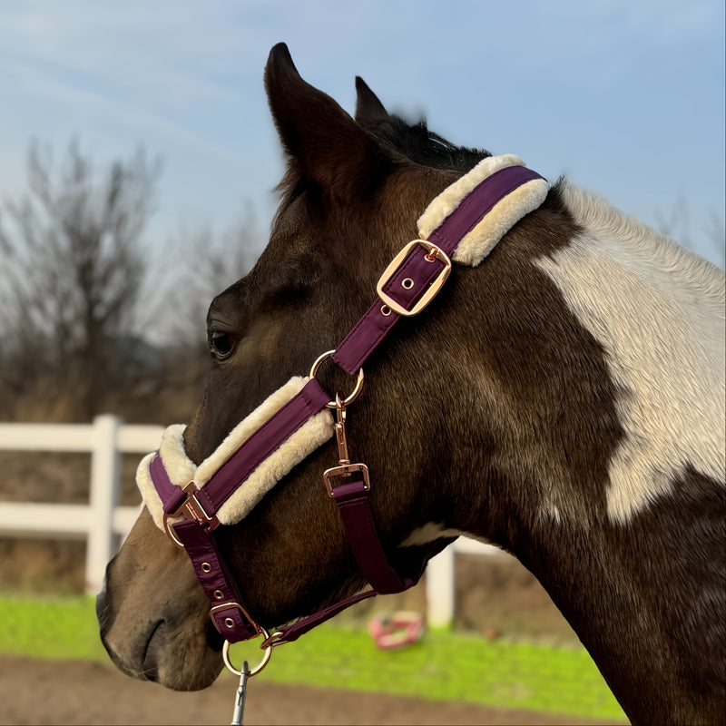 Halter de Cavalo de Lã com Faixa de Pele Sintética Removível