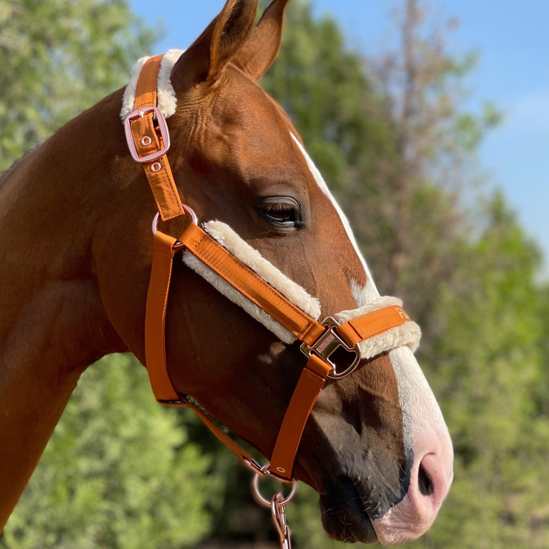 Halter de Cavalo de Lã com Faixa de Pele Sintética Removível