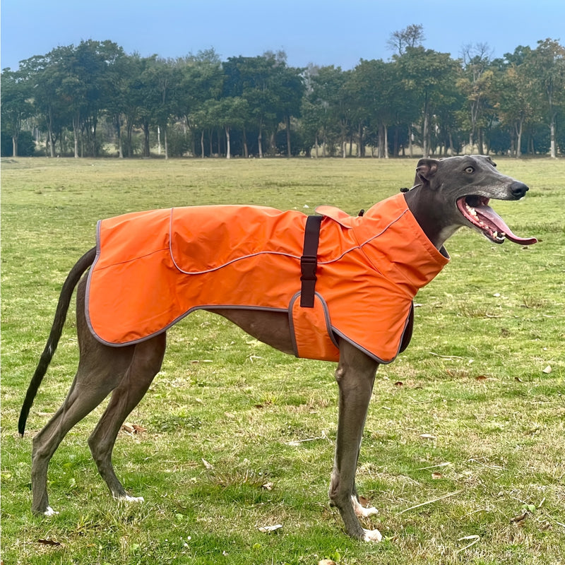 Jaqueta de Inverno para Cães Grandes - Casaco Dupla Camada e Impermeável