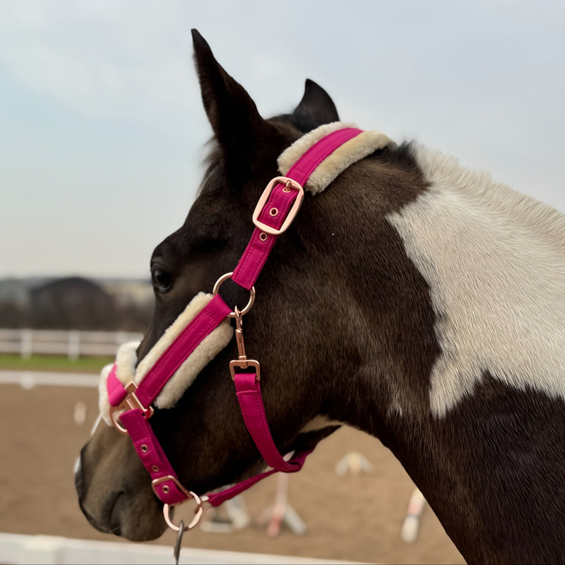 Halter de Cavalo de Lã com Faixa de Pele Sintética Removível