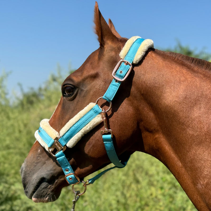 Halter de Cavalo de Lã com Faixa de Pele Sintética Removível