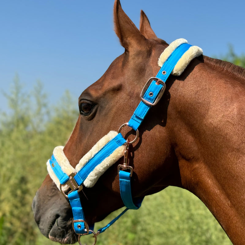 Halter de Cavalo de Lã com Faixa de Pele Sintética Removível