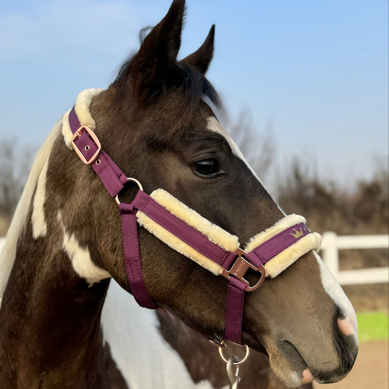 Halter de Cavalo de Lã com Faixa de Pele Sintética Removível