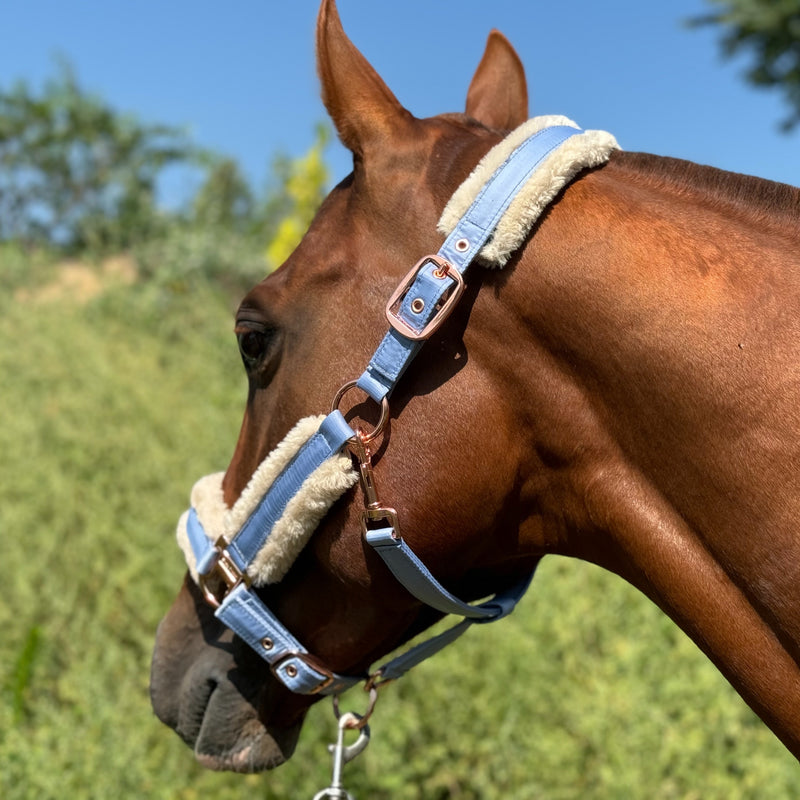 Halter de Cavalo de Lã com Faixa de Pele Sintética Removível