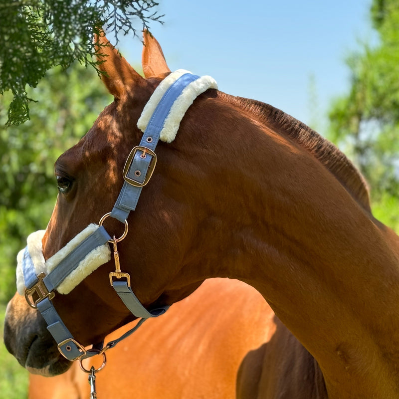 Halter de Cavalo de Lã com Faixa de Pele Sintética Removível