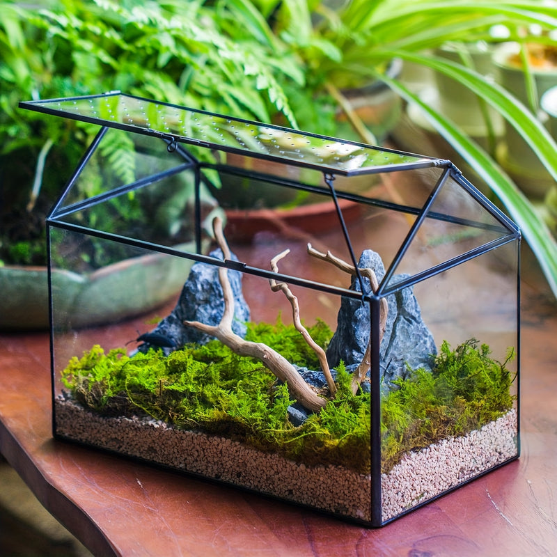 Terrário de Vidro em Forma de Casa de Cobre com Tampa de Acrílico